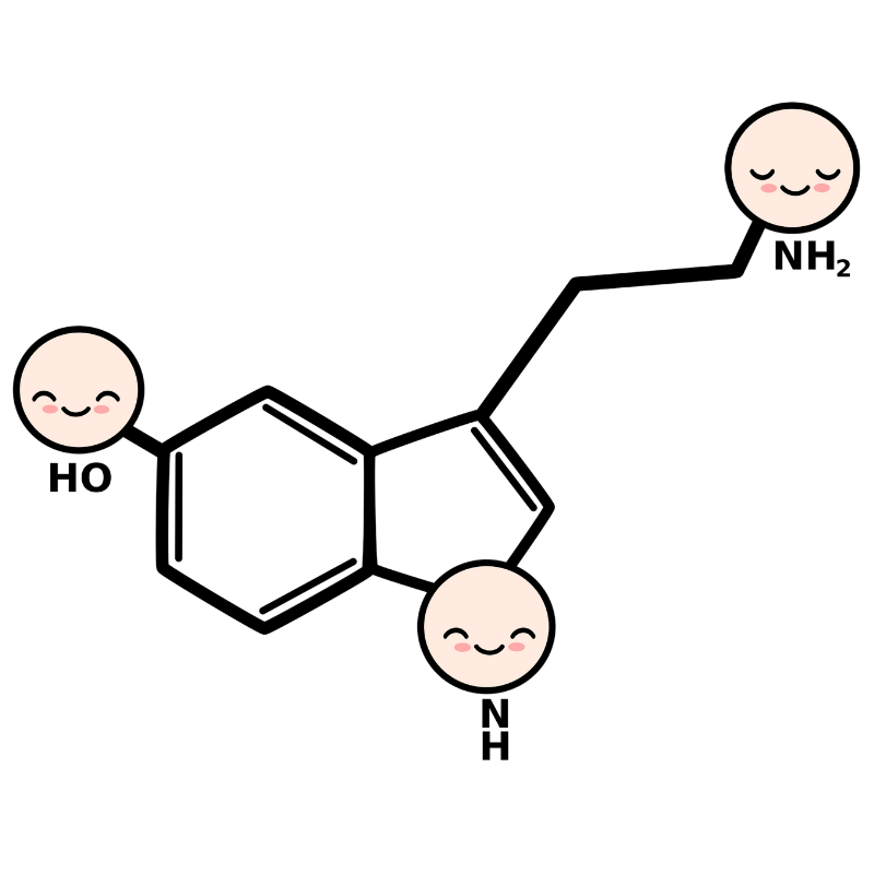 serotonin